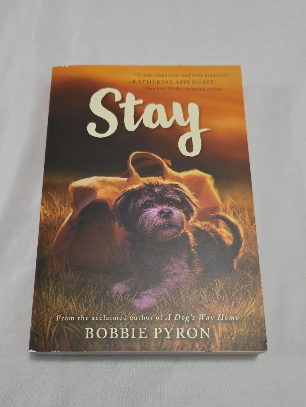💛6 For $8 Stay By Bobbie Pyron